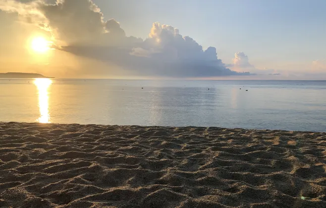 Разрешено размещения с домашними животными Отели в г. Кантон