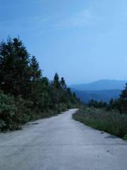 Zhonghua Mountain Forest Park