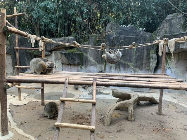 항저우 야생동물원(항주 야생동물세계)
