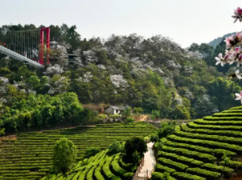 Dehong Xianfo Cave Scenic Area