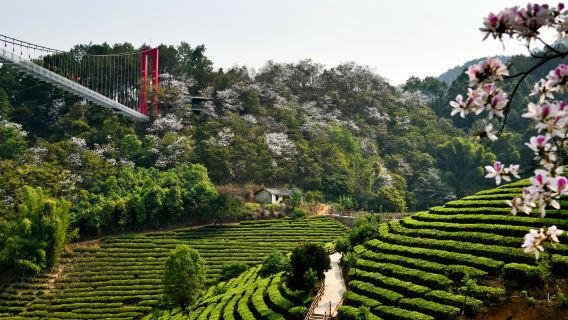 Dehong Xianfo Cave Scenic Area