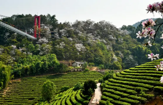 德宏仙佛洞旅遊景區門票成人