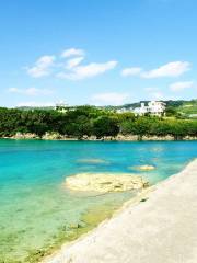 Ojima Island