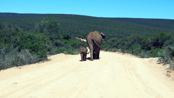 Bundala National Park