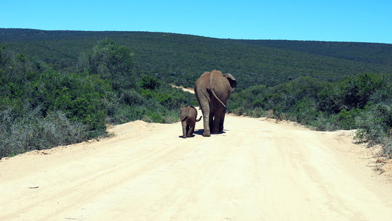 Parco nazionale Bundala