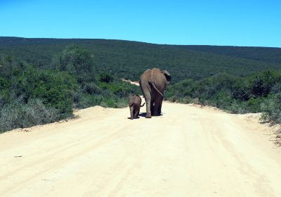 Nationalpark Bundala