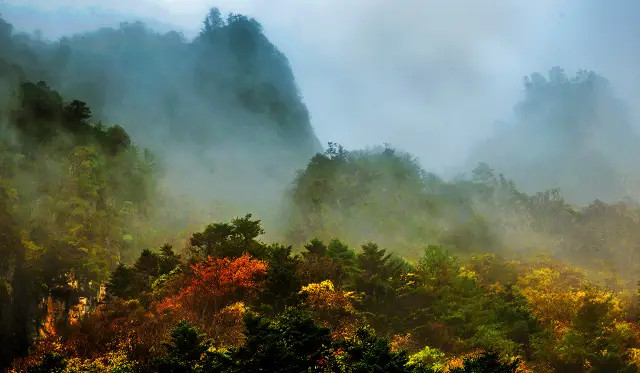 Fall Foliage Sightseeing in Shennongjia