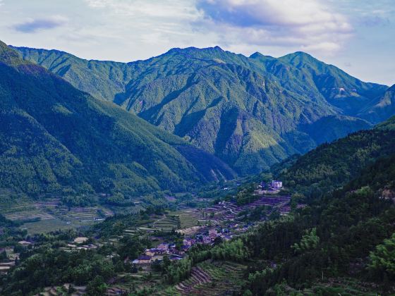 雲和梯田景區九曲雲環