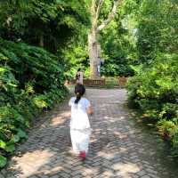 FREE Entrance @ Shanghai Zoo this Summer