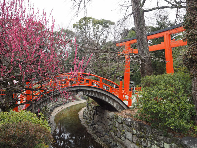 京都の「下鴨神社」