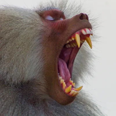 Для бизнес-поездок Отели в г. Эль-Хубар