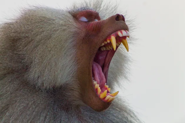 4-звездочные отели в г. Мекка