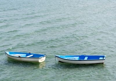 Skikda Province