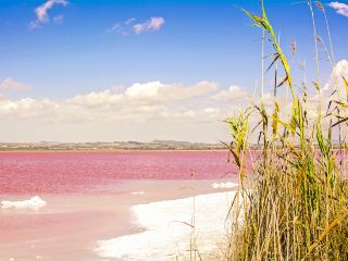 Hoteles cerca de Auditorio Internacional de Musica