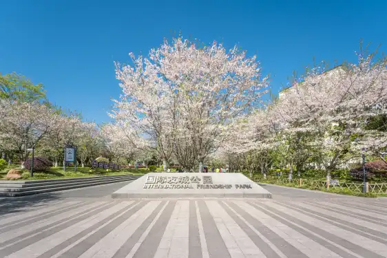 鄰近金華國際友城公園的酒店