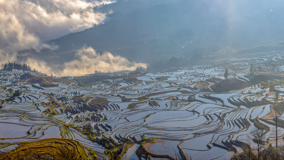 Duoyishu Terraced Field