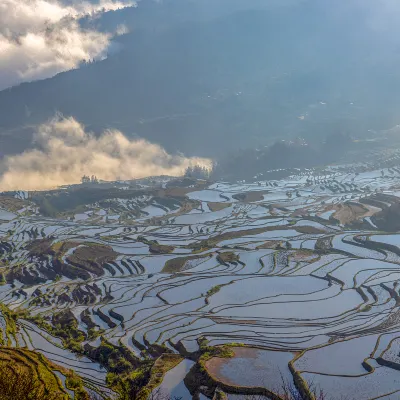 Для бизнес-поездок Отели в г. Юаньян