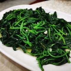 巫记鸡饭店 User Photo