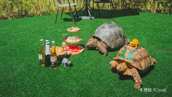 Letian Guixinju Tortoise Farm