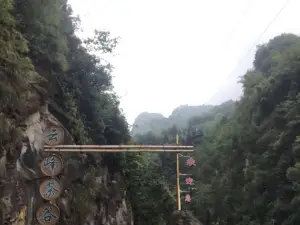 Dazhou Dazhu Yunfeng Tea Valley