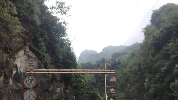 Dazhou Dazhu Yunfeng Tea Valley