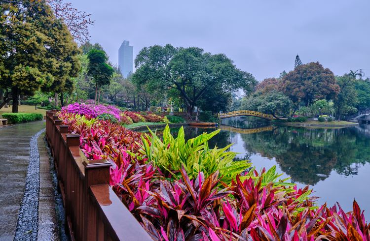 曉港公園
