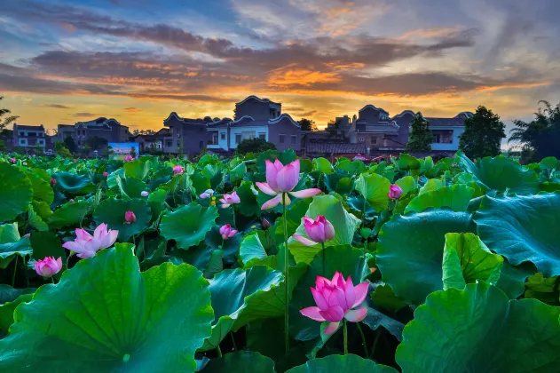 Chongzuo Zuojiang Hermit Hotel