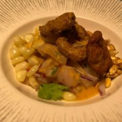 Potzollcalli User Photo