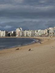 Playa de los Pocitos