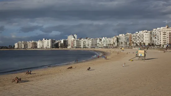 Playa Pocitos