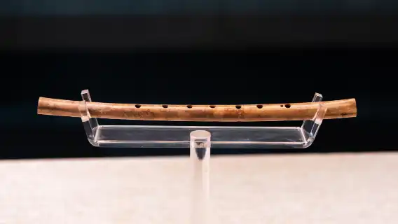 河南博物院【2小時大咖導遊匠心導覽+拼團私人導覽可選】