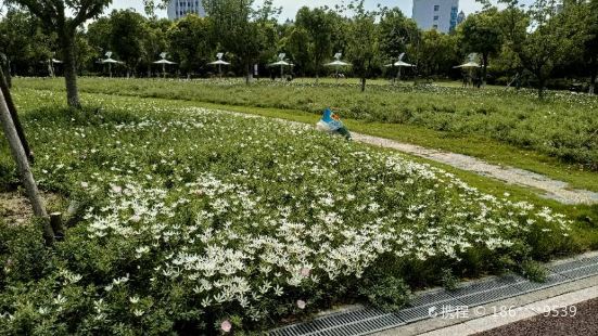 Yueliang Square