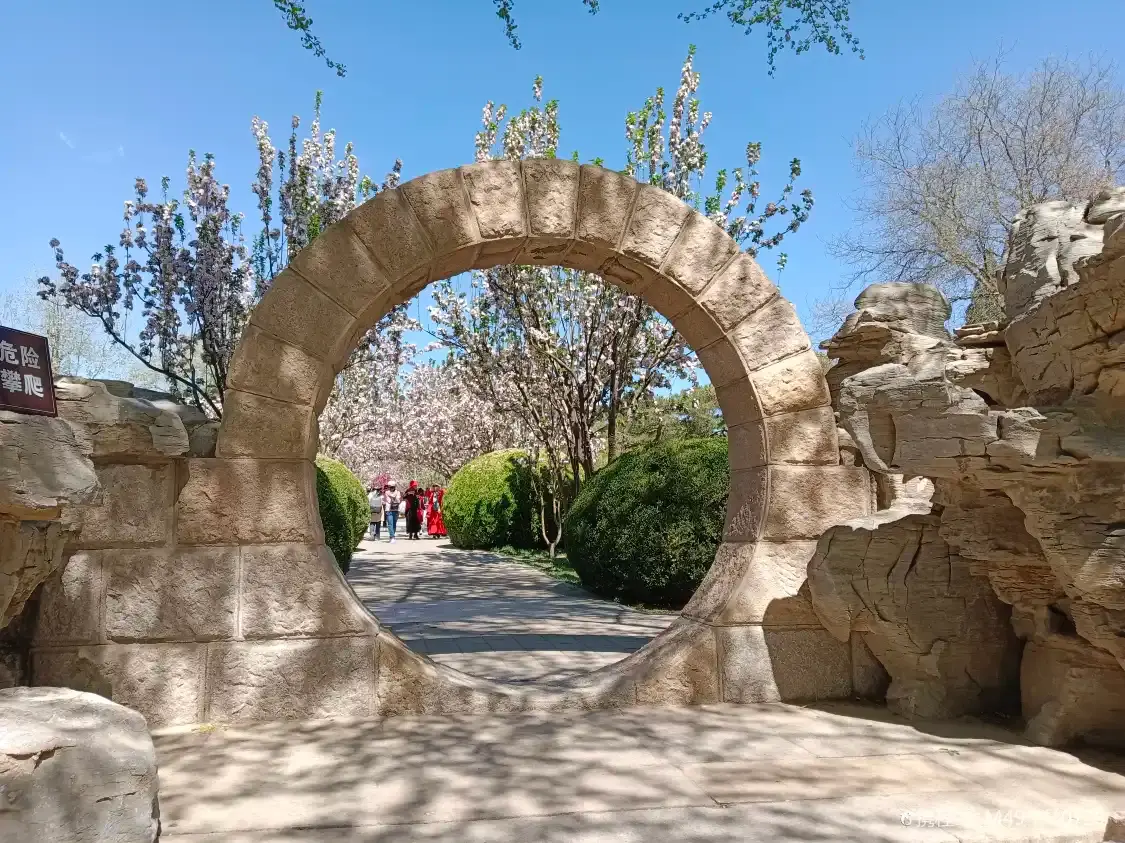 Hotels near Chinese Rose Garden