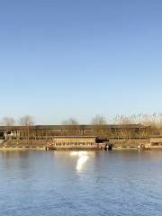 Hongze Lake Wetland Bird Park