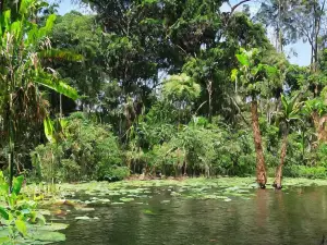蒙達旺加生態園