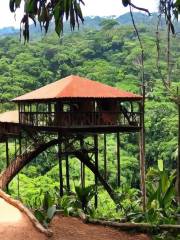 Las Cuevas Biological Station