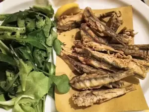 La Casa di Bacco