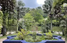 Rimba Ilmu Botanic Garden, Universiti Malaya