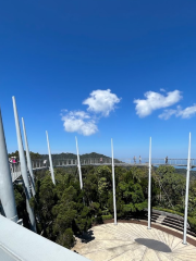 Curtis Crest Treetop Walk