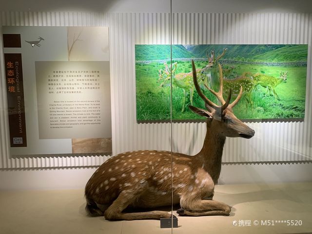 Unearthed Cultural Relics Exhibition Hall | Xian Banpo Museum