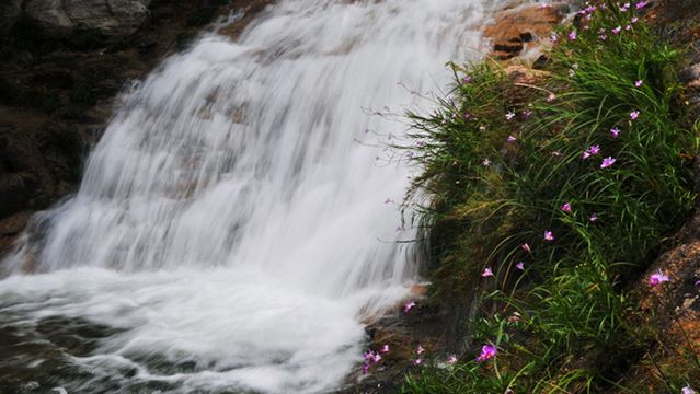 Shimen Longevity Valley