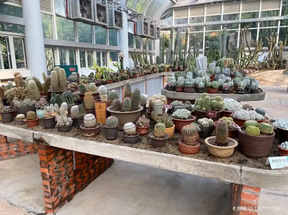 Hotels near Pulpy Plants Exhibition Hall