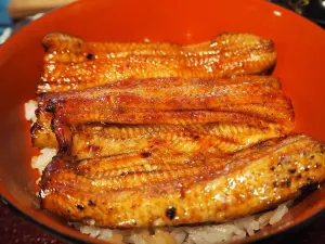 Unagi Roryuan