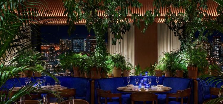THE BLUE ROOM