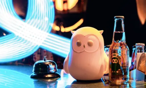 FUNOWL