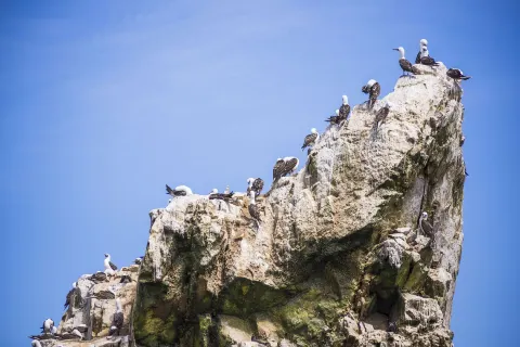 Ballestas Islands