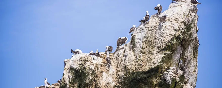 Las Ballestas