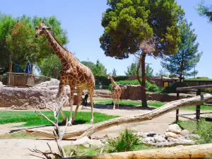 Reid Park Zoo