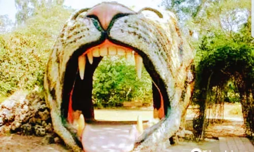 Ayub National Park