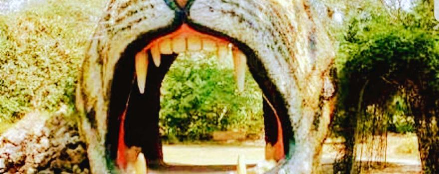 Ayub National Park